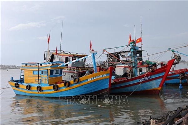 TP. Hồ Chí Minh siết chặt chống khai thác IUU, không báo cáo hình thức