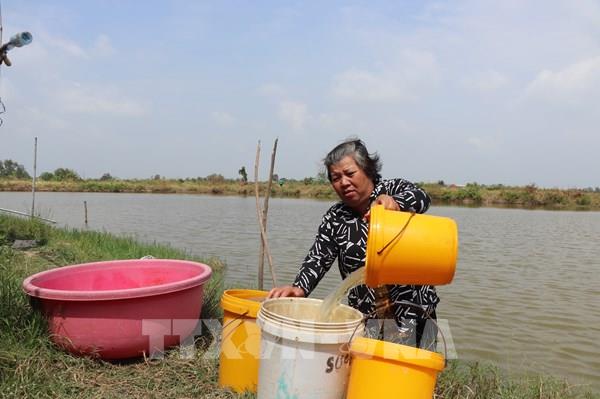 Mùa khô chưa tới, người dân Cần Thơ đã thiếu nước