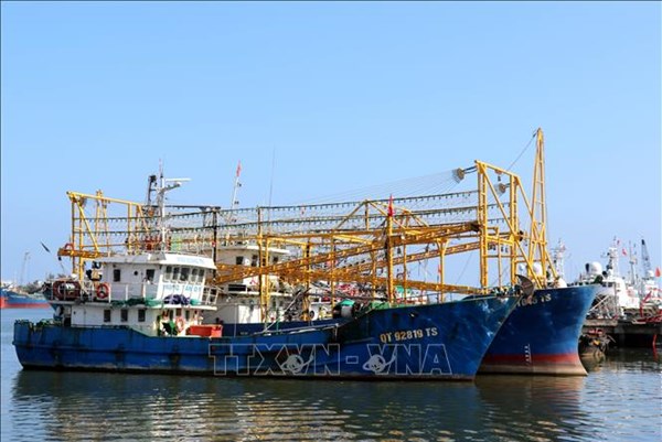 Khắc phục "thẻ vàng" IUU: Quảng Trị chuyển đổi 771 tàu cá khai thác kém bền vững