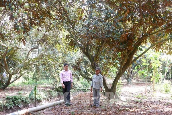 Tín dụng chính sách tiếp sức tạo việc làm ở Vĩnh Long