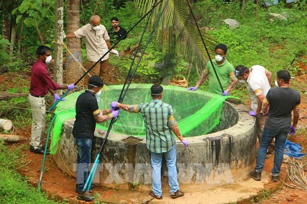 Virus Nipah nguy hiểm thế nào?