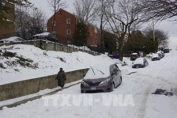 Bão tuyết gây thiệt hại hàng tỷ USD tại Mỹ