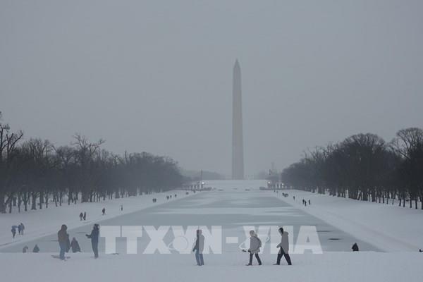 Các hãng hàng không Mỹ tiếp tục cắt giảm chuyến bay do thời tiết khắc nghiệt