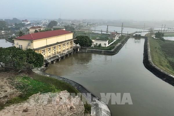 Hơn 74% diện tích vụ Đông Xuân đã đủ nước gieo cấy