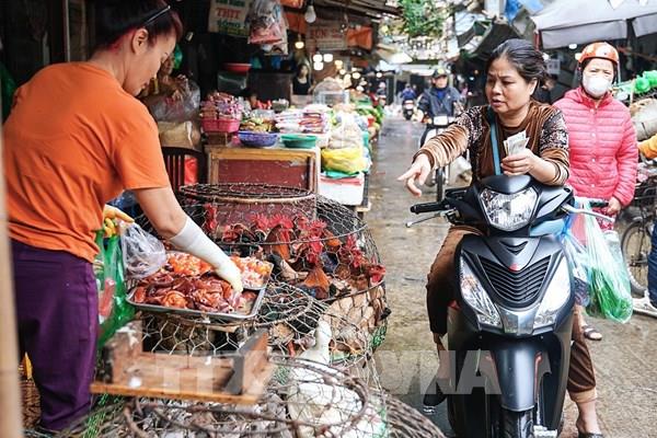 Kiểm tra, kiểm soát an toàn thực phẩm tại các chợ đầu mối nông sản