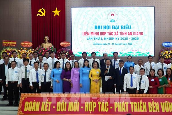 Kinh tế hợp tác An Giang chuyển trục sang chất lượng