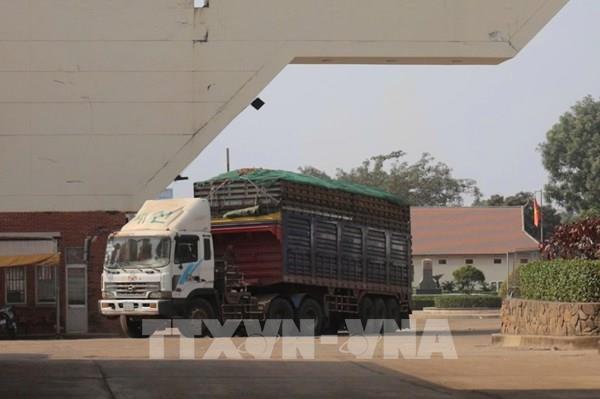 Hải quan triển khai trực 24/7, tháo gỡ ách tắc thông quan thực phẩm nhập khẩu