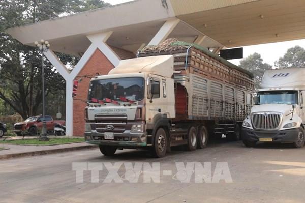 Bộ Nông nghiệp và Môi trường kiến nghị giải pháp tháo gỡ ách tắc hàng hóa tại cửa khẩu