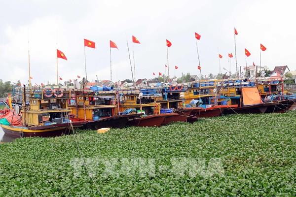 Tái cơ cấu đội tàu: Lối ra nào cho ngư dân ven biển Đà Nẵng?