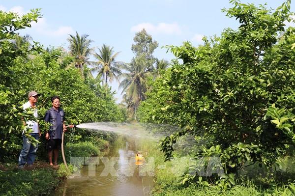 Từ đất lúa kém hiệu quả đến vùng cây ăn trái xuất khẩu
