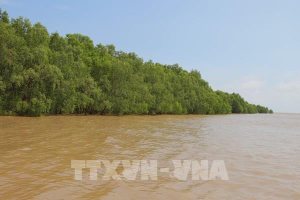 Cần Thơ dự kiến cao điểm xâm nhập mặn vào cuối tháng 3