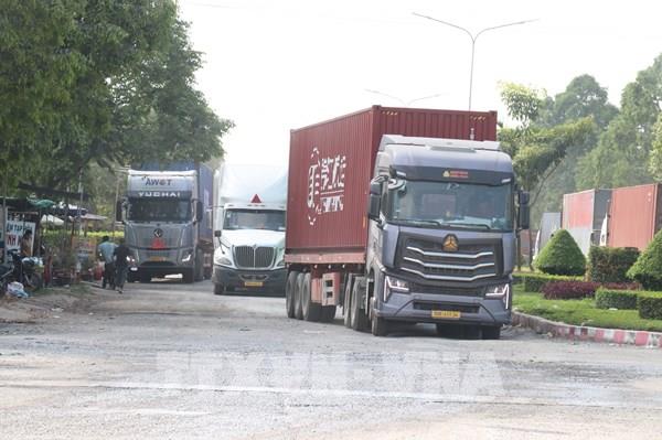 Thủ tướng chỉ đạo tháo gỡ vướng mắc trong triển khai Nghị định 46