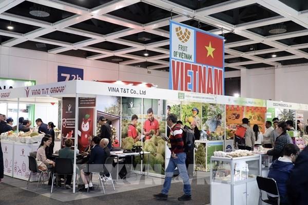 Doanh nghiệp Việt Nam tìm cơ hội mở rộng thị trường tại Fruit Logistica 2026