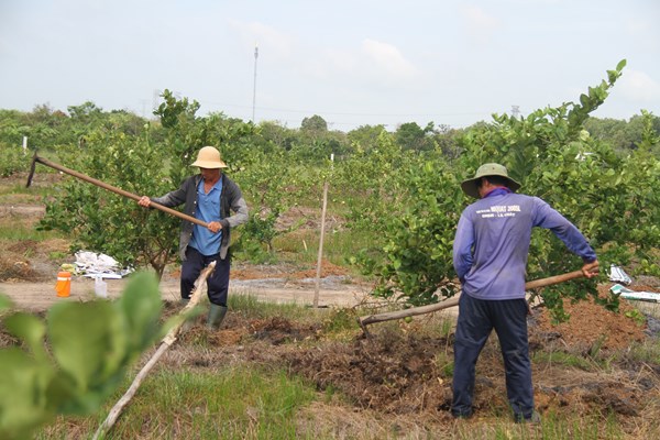 Nông sản Việt đi xa nhờ hành trình bền bỉ