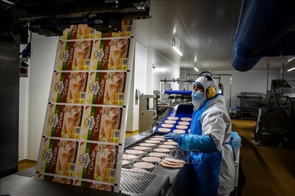 Pháp ghi nhận kỷ lục về số doanh nghiệp lập mới