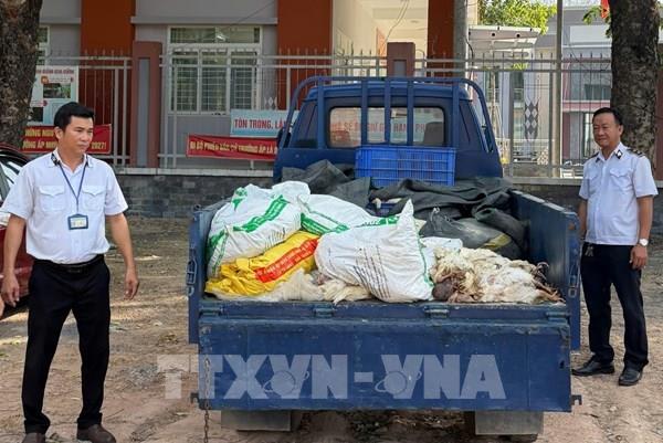 TP. Hồ Chí Minh phát hiện vụ vận chuyển hơn 200 kg gà chết đi tiêu thụ