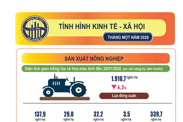 Tình hình kinh tế - xã hội tháng Một năm 2026