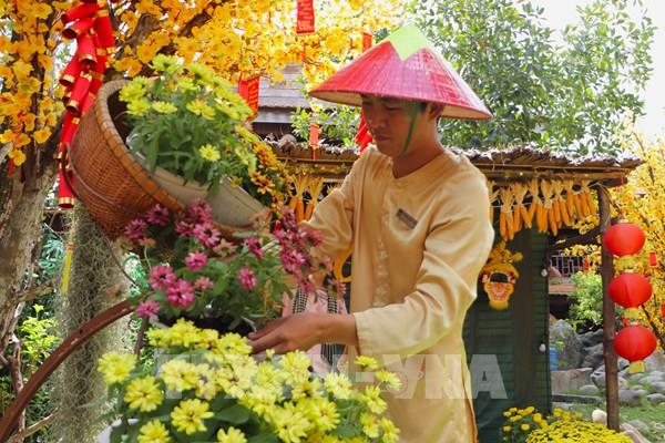 Không khí du xuân rộn ràng tại các điểm đến Cần Thơ