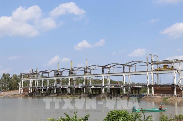 Vĩnh Long chủ động "khóa cống, giữ ngọt"