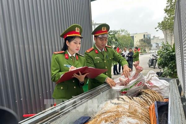 Triệt phá đường dây mua bán, nấu cao hổ