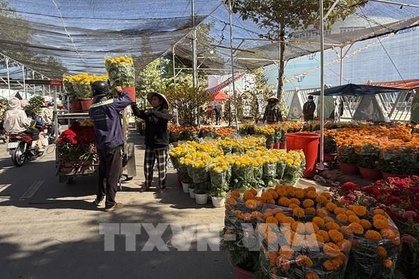 29 Tết, hoa còn đầy chợ: Tiểu thương gấp gáp xả hàng