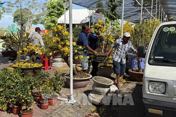Đồng Tháp: Hoa kiểng Tết đồng loạt giảm giá chiều 29 Tết
