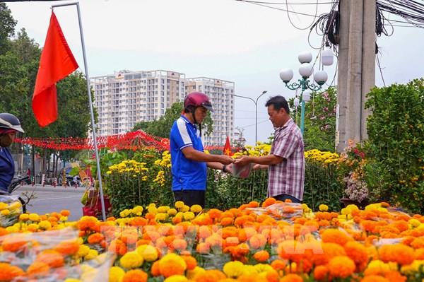 Sắc Xuân tràn ngập, thị trường hoa Tết Tây Ninh khởi sắc