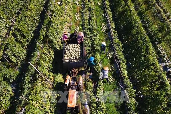 Tiến trình cho nông nghiệp xanh