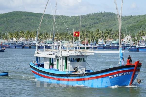 Ngư dân ra khơi chờ mong một vụ mùa bội thu