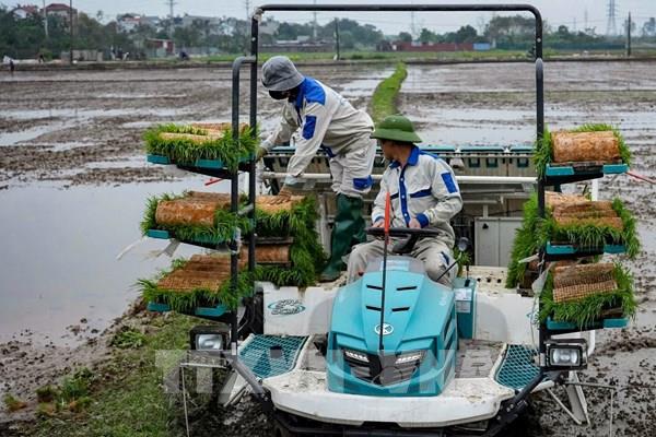 Nông dân tranh thủ thời tiết thuận lợi ra đồng sản xuất đầu Xuân
