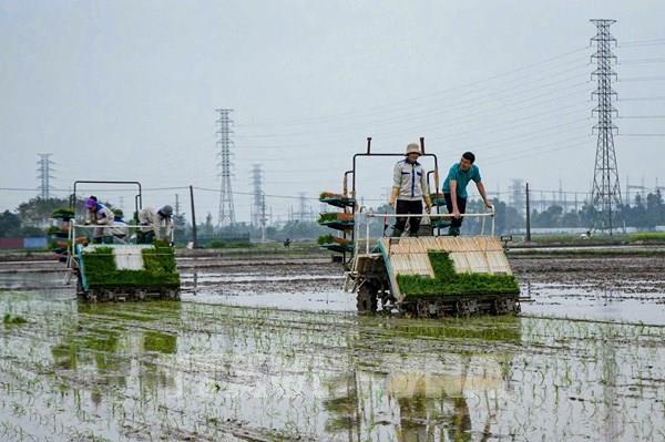 Đề xuất nâng hỗ trợ phí bảo hiểm nông nghiệp lên tới 95% cho hộ nghèo