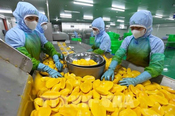 Doanh nghiệp vừa và nhỏ Malaysia được khuyến nghị củng cố nội lực