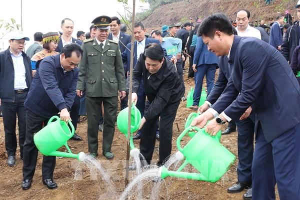 Chủ tịch nước dự lễ phát động Tết trồng cây 2026