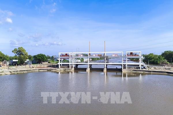 Theo dõi sát nguồn nước, hạn chế rủi ro mặn xâm nhập