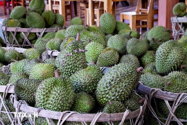 Sau Tết, sầu riêng khan hàng, giá tăng cao