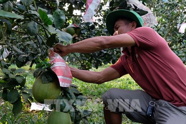Đạ Tẻh bứt phá nông nghiệp công nghệ cao, nâng tầm OCOP