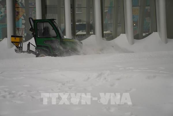 Bão tuyết làm tê liệt hàng không New York và vùng Đông Bắc Mỹ