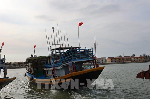 Ngư dân rộn ràng mở biển đầu Xuân