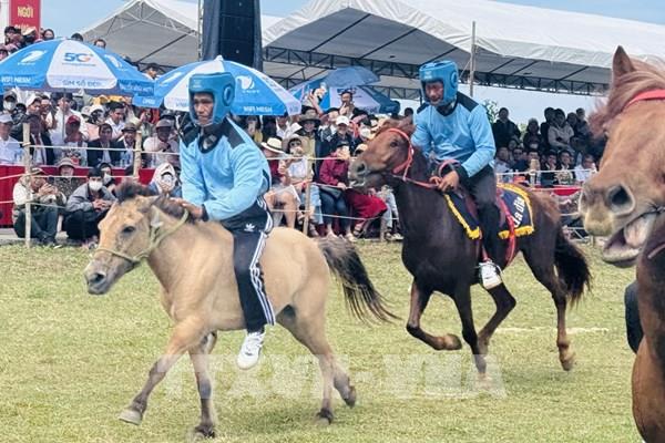 Hội đua ngựa mùng 9 Tết – nét xuân độc đáo Đắk Lắk