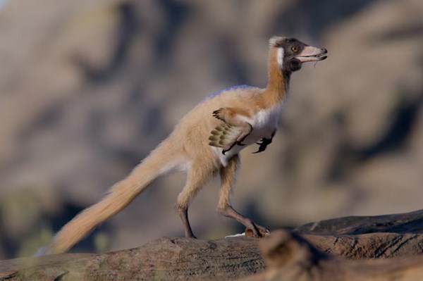 Phát hiện hóa thạch loài khủng long nhỏ nhất tại Argentina