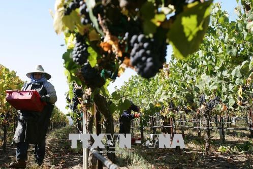 Mỹ triển khai sáng kiến giảm gánh nặng hành chính cho nông dân