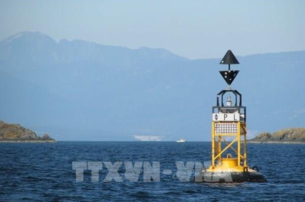 Hàng loạt công ty dầu khí và vận tải tạm dừng vận chuyển qua eo biển Hormuz