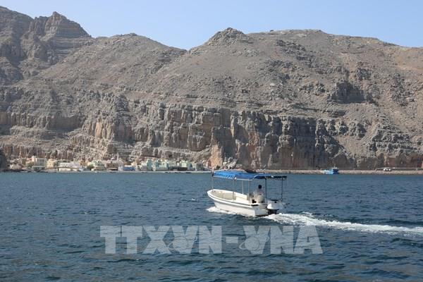 Các hãng vận tải biển lớn đình chỉ hoạt động qua Eo biển Hormuz vì xung đột