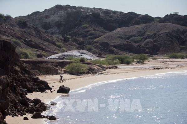 Hàn Quốc chủ động ứng phó với việc khan hiếm nguồn cung dầu mỏ 