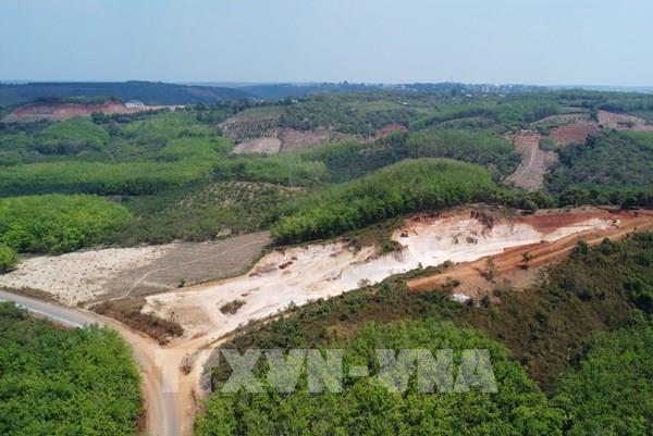 Đồng Nai: Phạt 70 triệu đồng vì hủy hoại gần 0,5ha đất