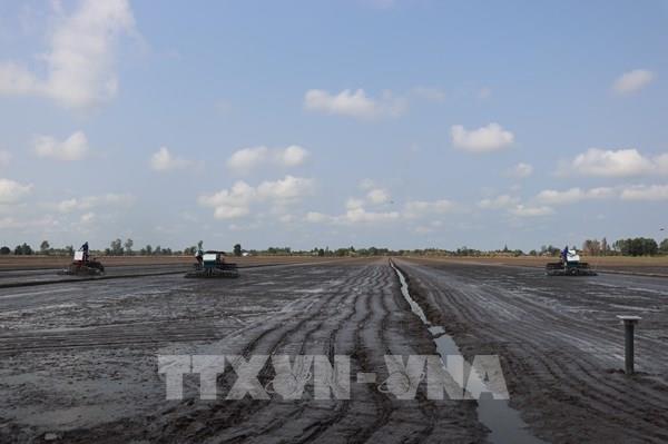 Tháng 3, xâm nhập mặn ở Đồng bằng sông Cửu Long có thể vào sâu 60 km