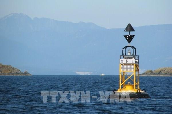 Khi "vàng đen" trở thành quân cờ địa chính trị