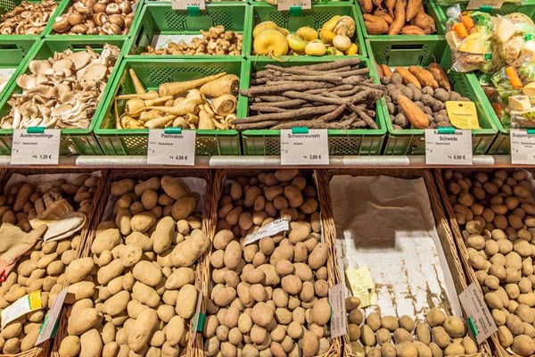 Từ “mỏ vàng” đến bế tắc: Nông dân trồng khoai tây ở EU nếm trái đắng vì dư cung