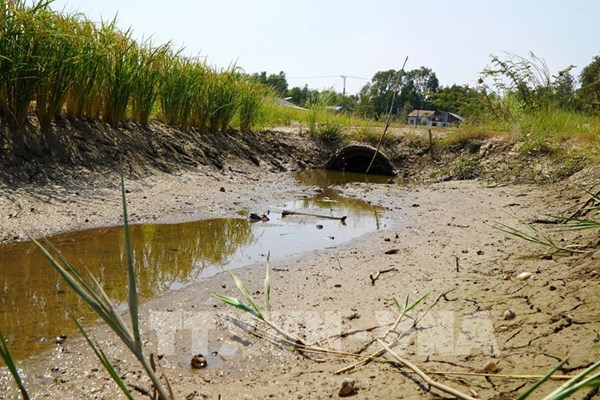 Kích hoạt phương án ứng phó từ sớm với xâm nhập mặn