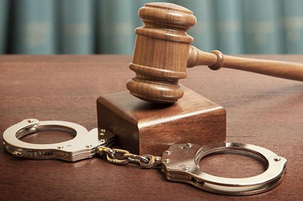 Ngày 30/3, cựu Thứ trưởng Bộ Nông nghiệp và phát triển nông thôn Hoàng Văn Thắng ra hầu tòa